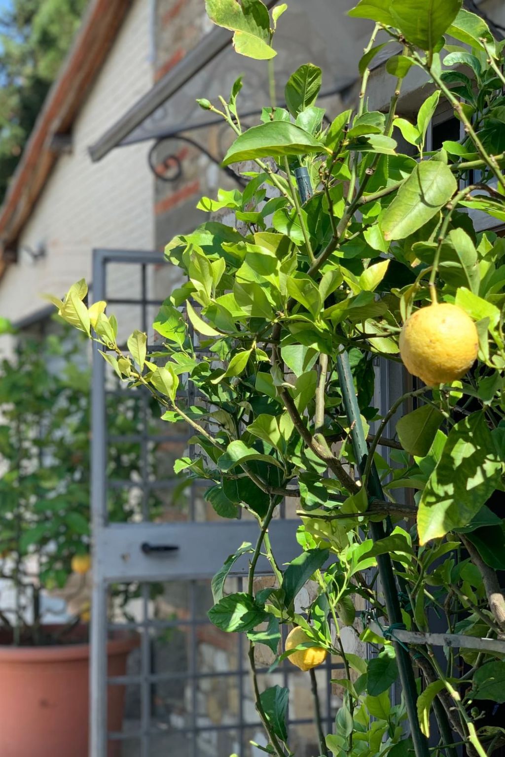 Acquapietra Villa Florenz mit Weinbergen und Pool-Image-tags.info