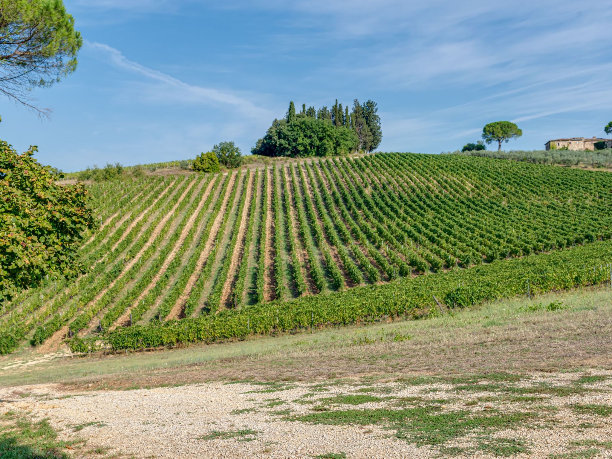 Acquapietra Villa Florenz mit Weinbergen und Pool-Image-tags.info