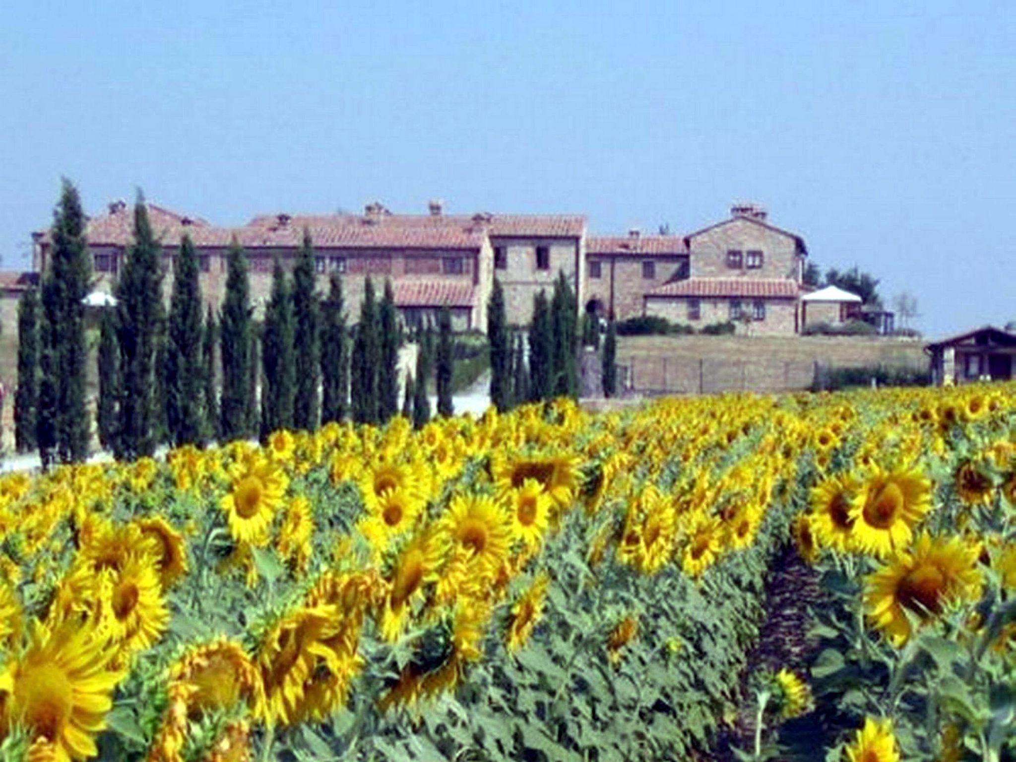 Wohnung 'Beccanella T6' mit Schwimmbad-Outside