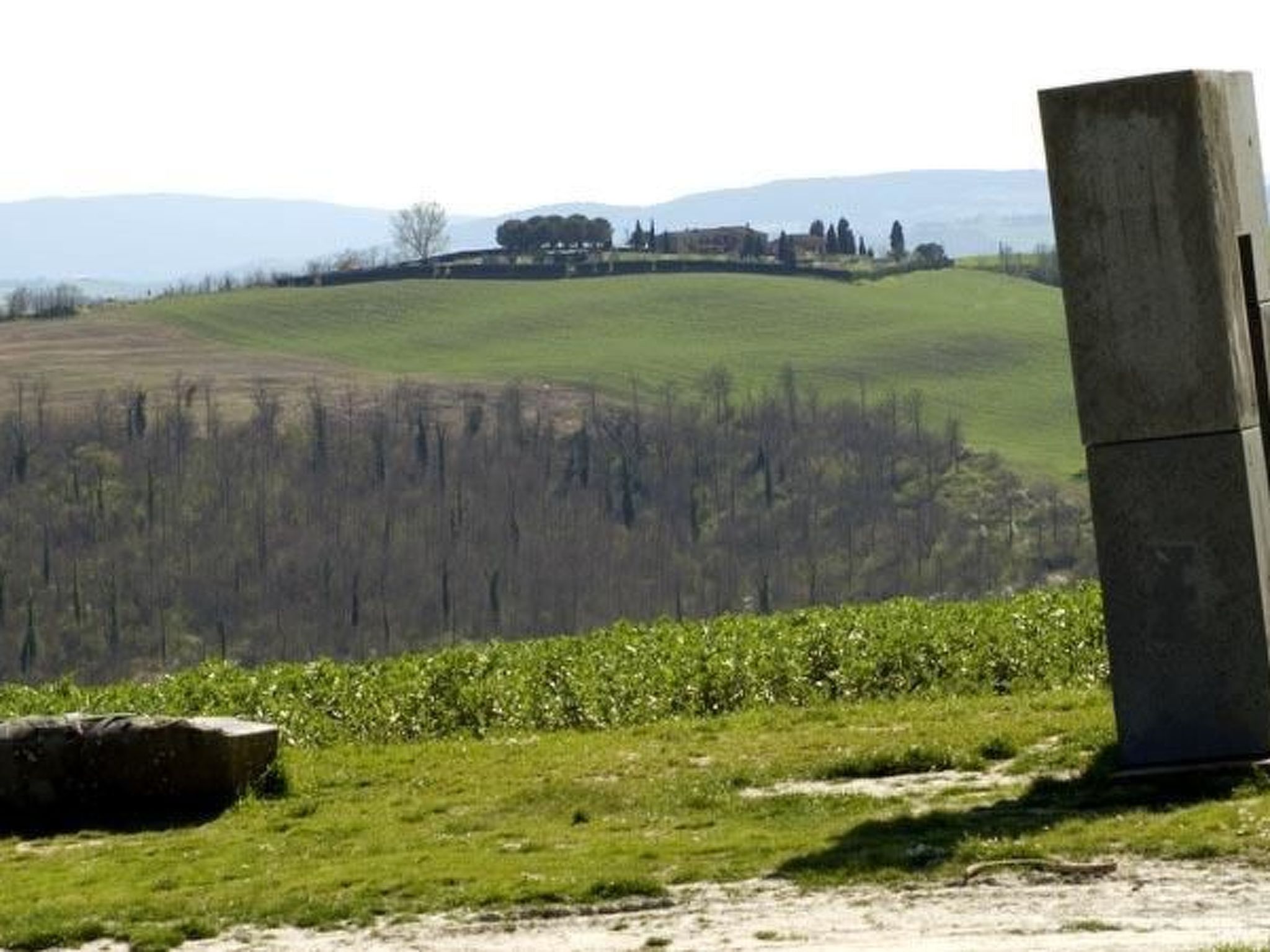 Wohnung in Asciano mit Grill und Garten-Binnen