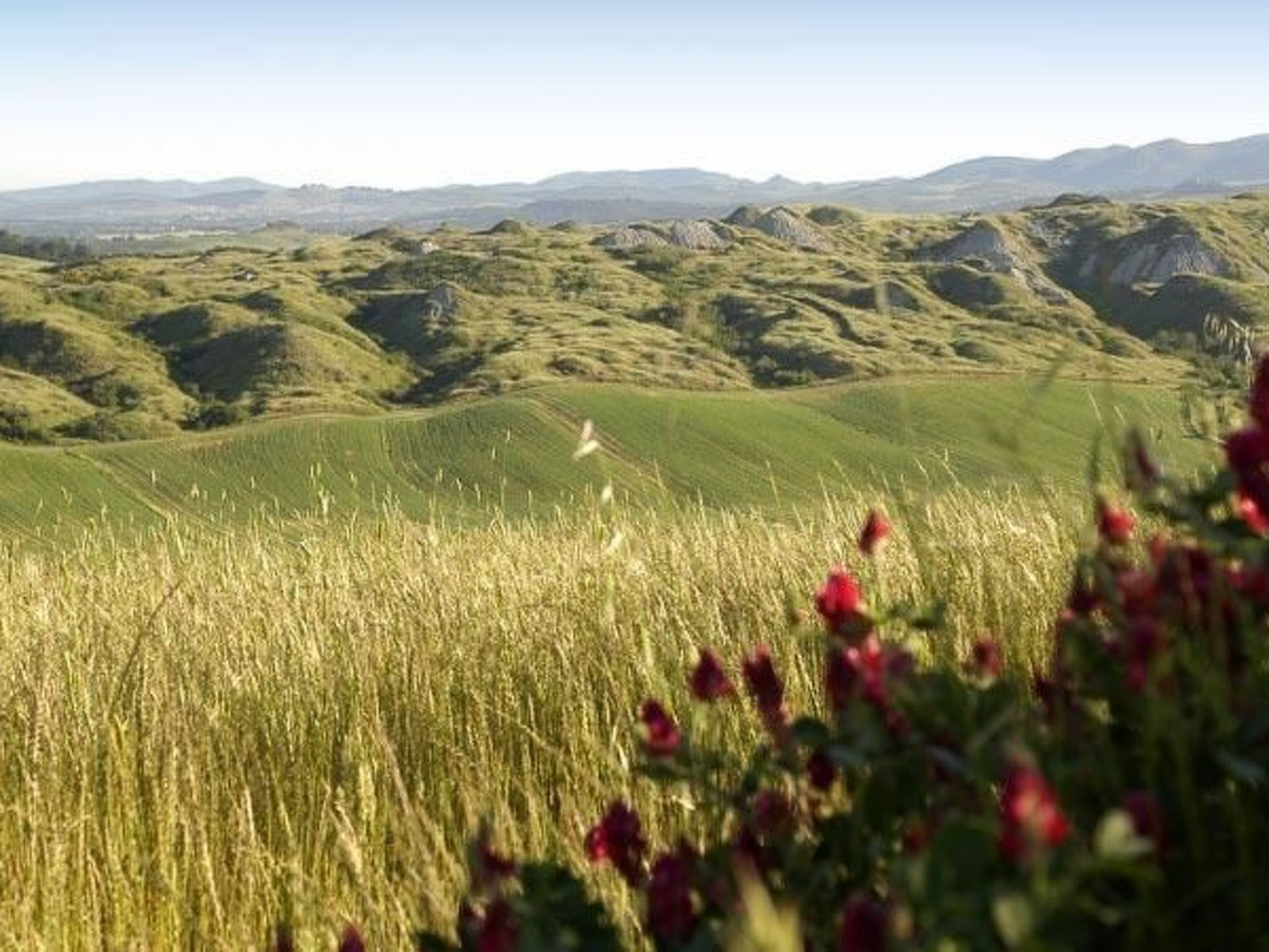 Wohnung in Asciano mit Grill und Garten-Binnen