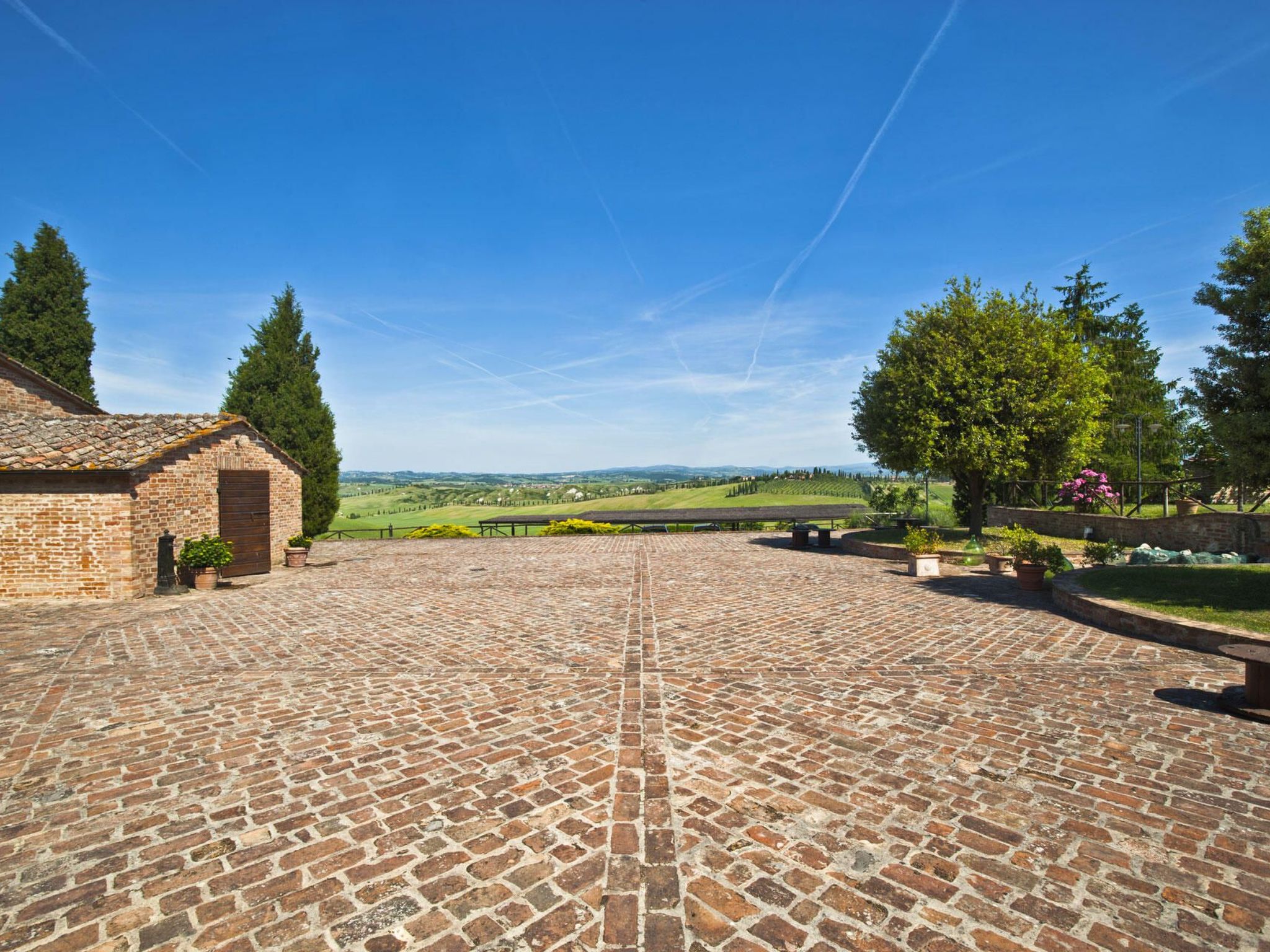 Flachorchidee 2-Binnen