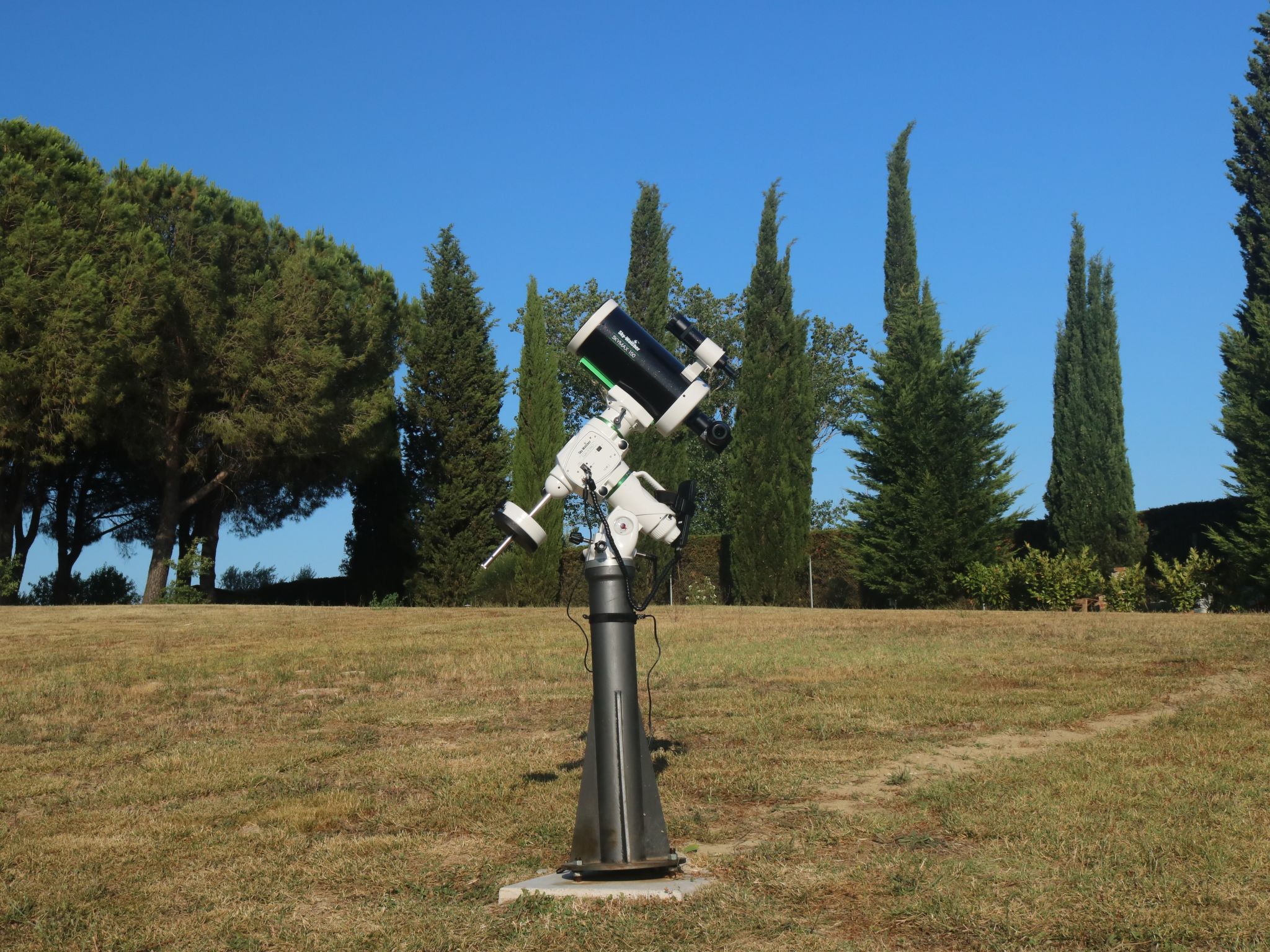 Flachorchidee 2-Binnen