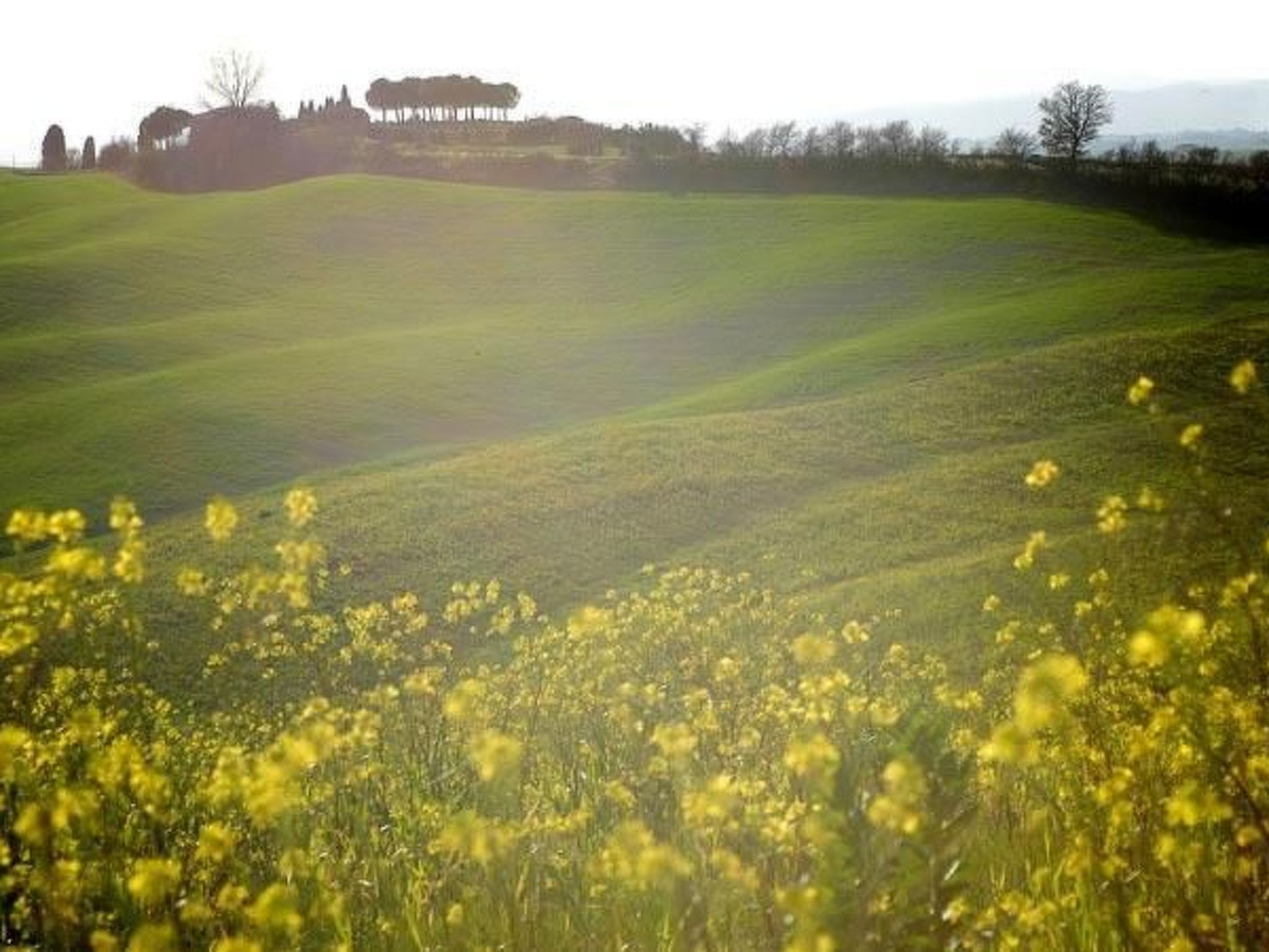 Rosa' Anwesen mit Privatparkplatz-Binnen