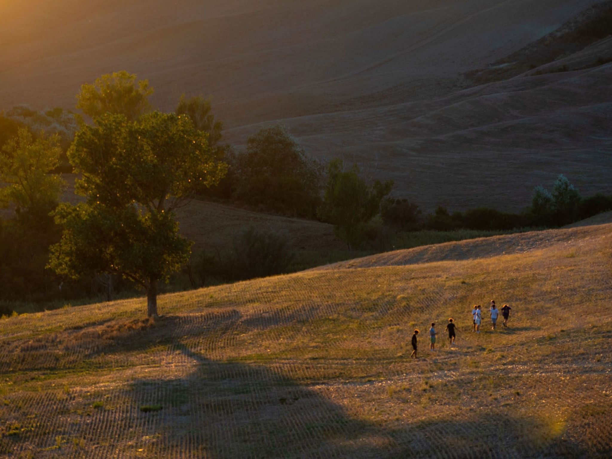 Haus Pino - Podere Fossaccio-Dedans