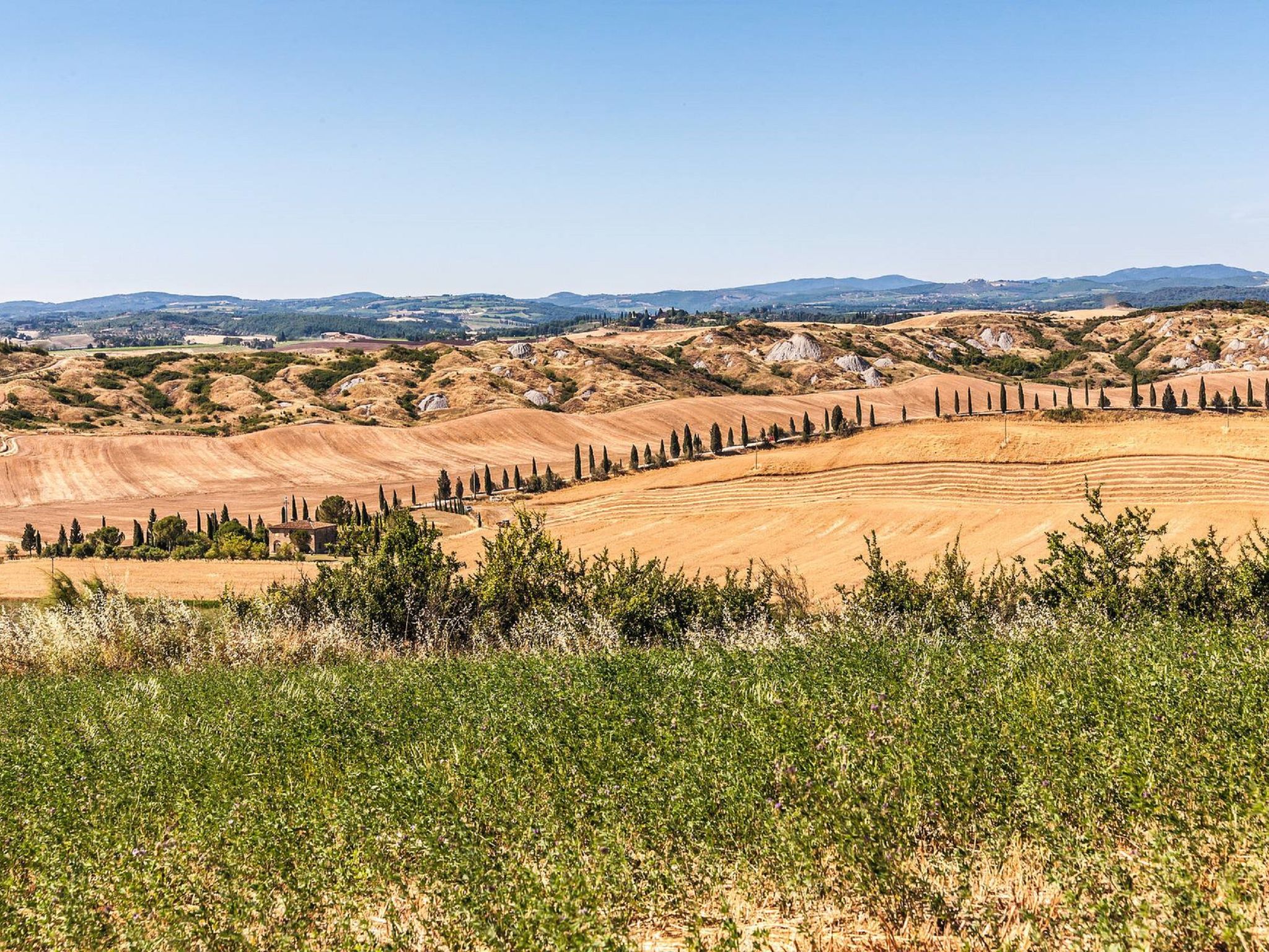 Haus Pino - Podere Fossaccio-Environnement
