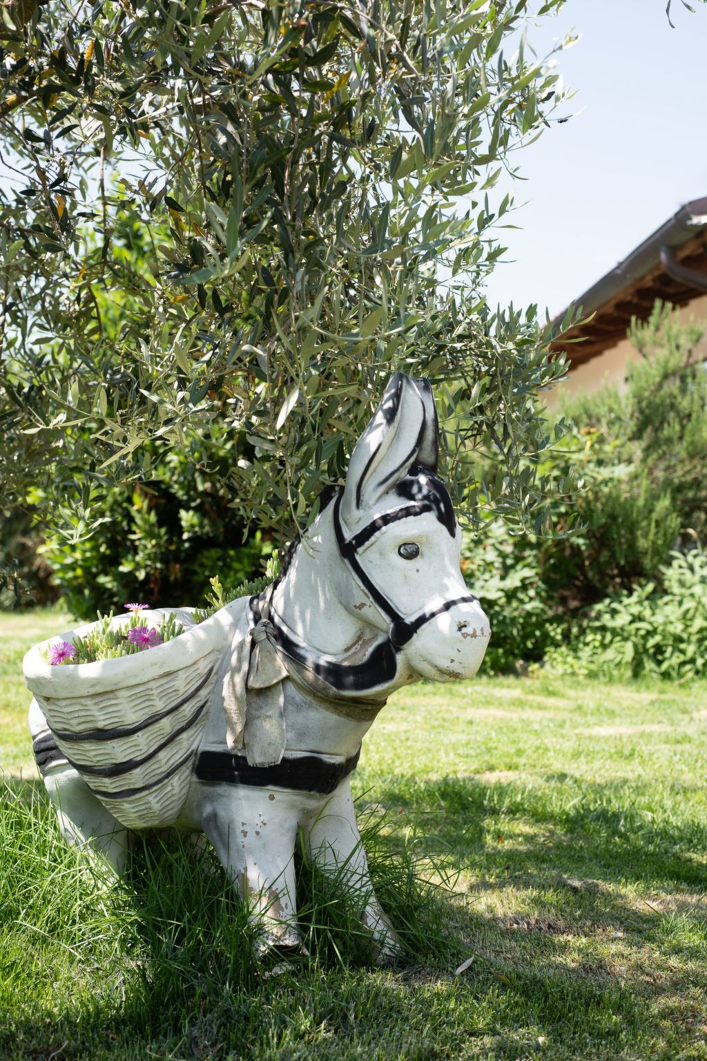 'A casa di Elena' mit privatem Pool-Image-tags.info