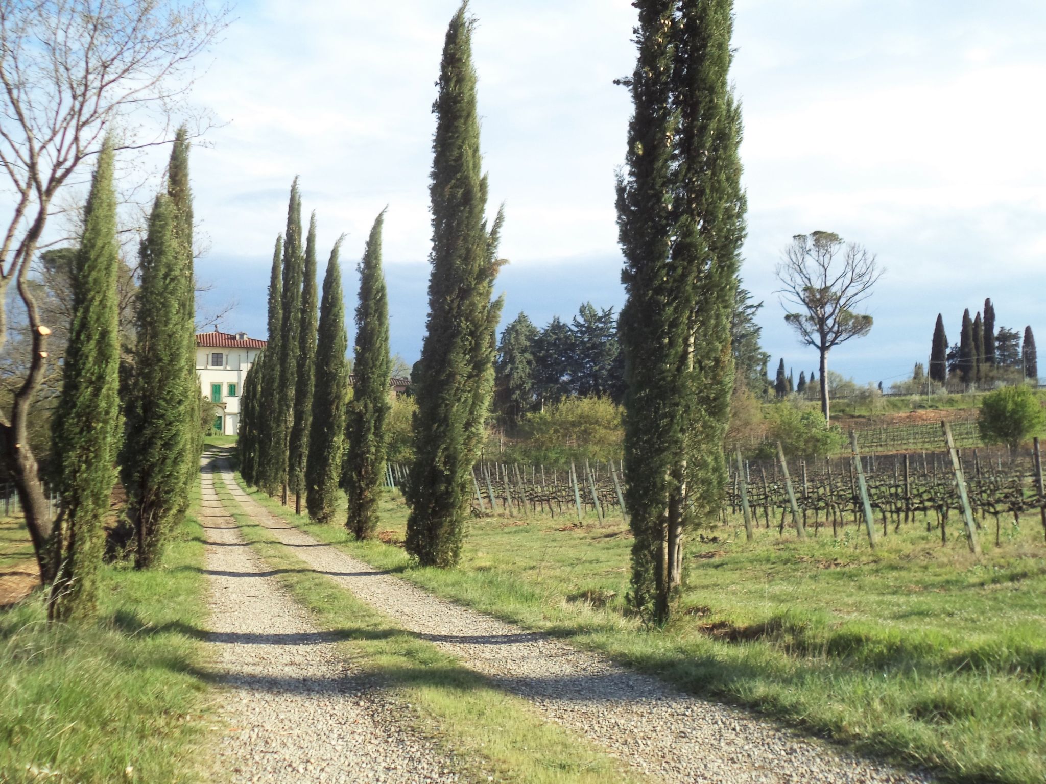 'Yellow House-Outside