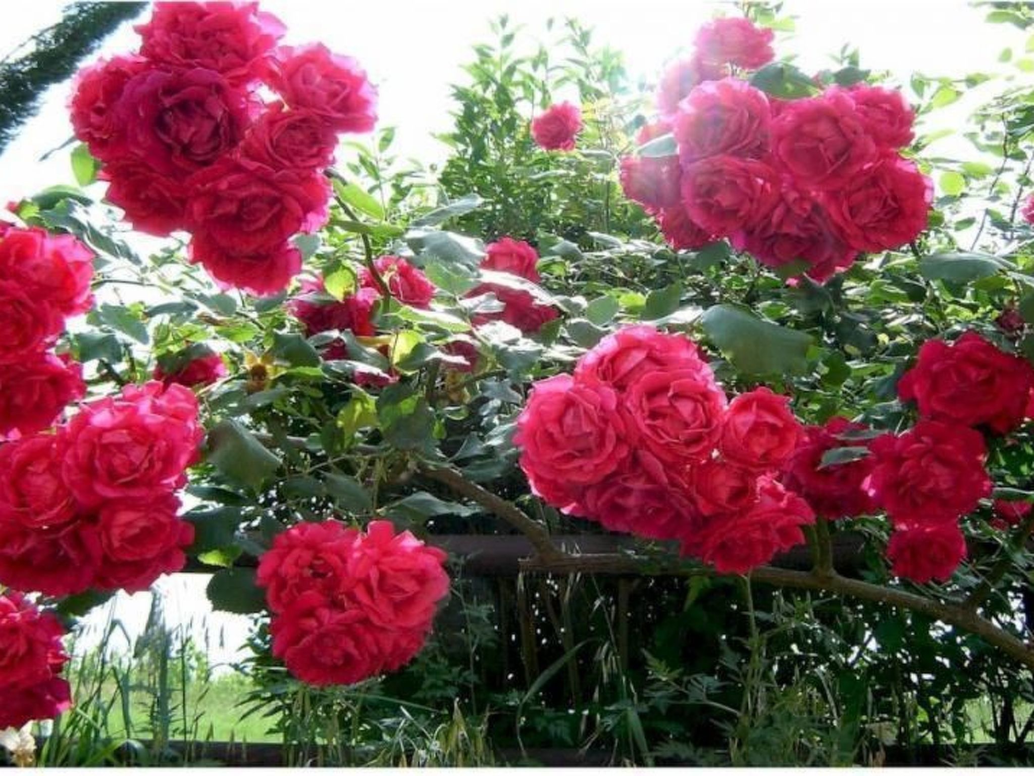 'Casa Rossa' mit Pool-Image-tags.info