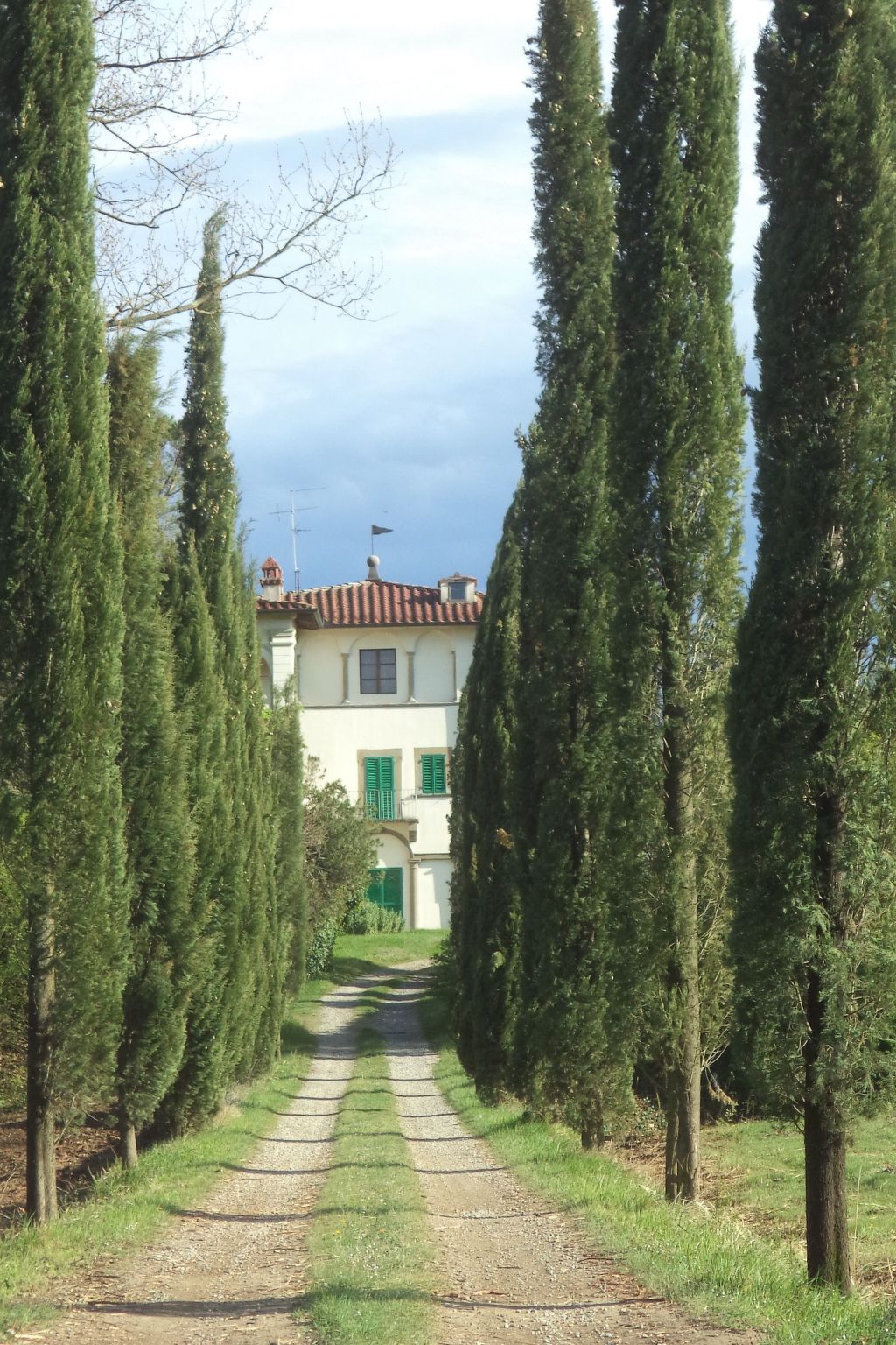 Grünes Haus-Outside