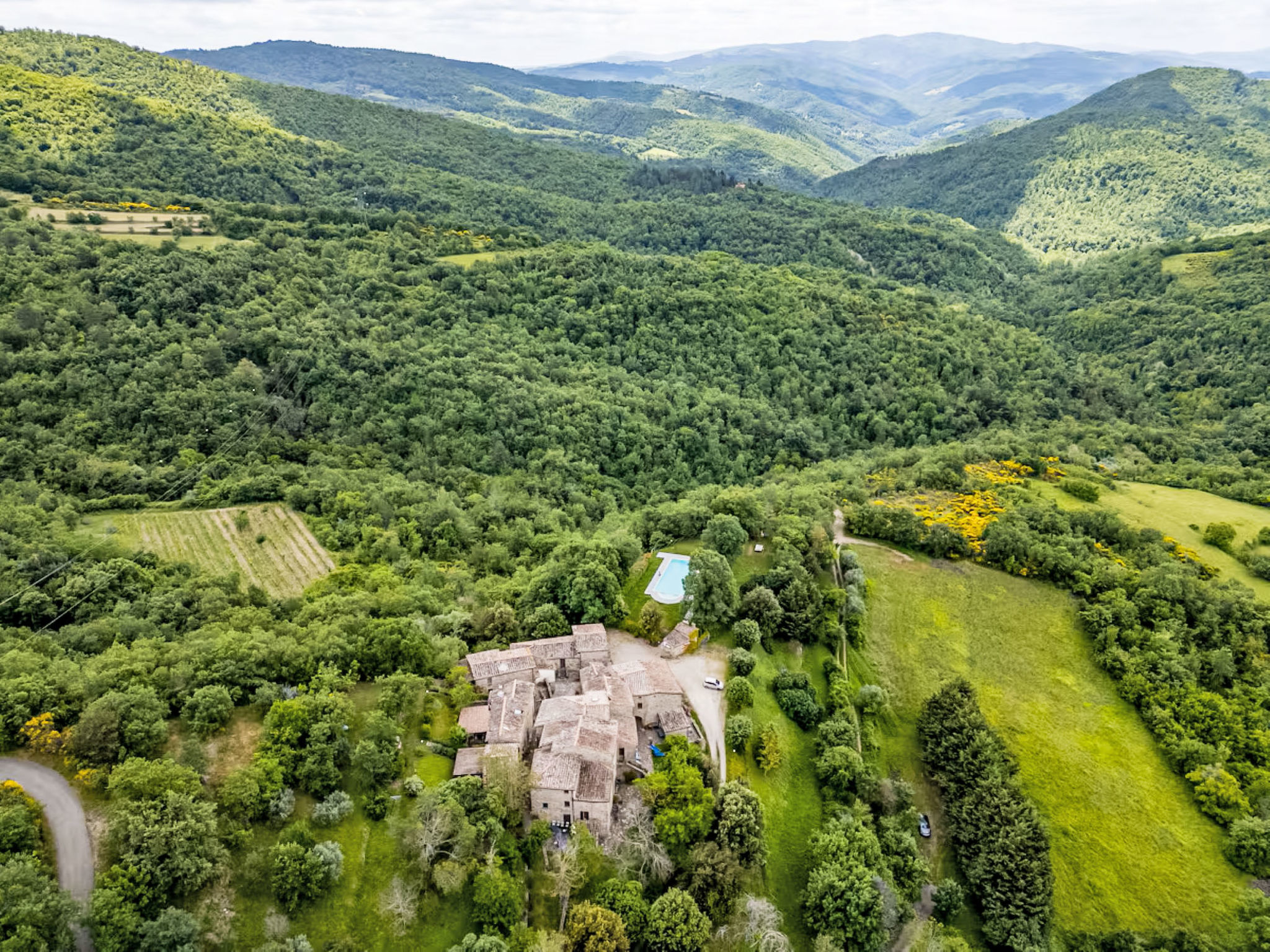 Il Frassino del Borgo di Ghiora