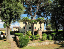 Giuggiolo - Giuggiolo 5