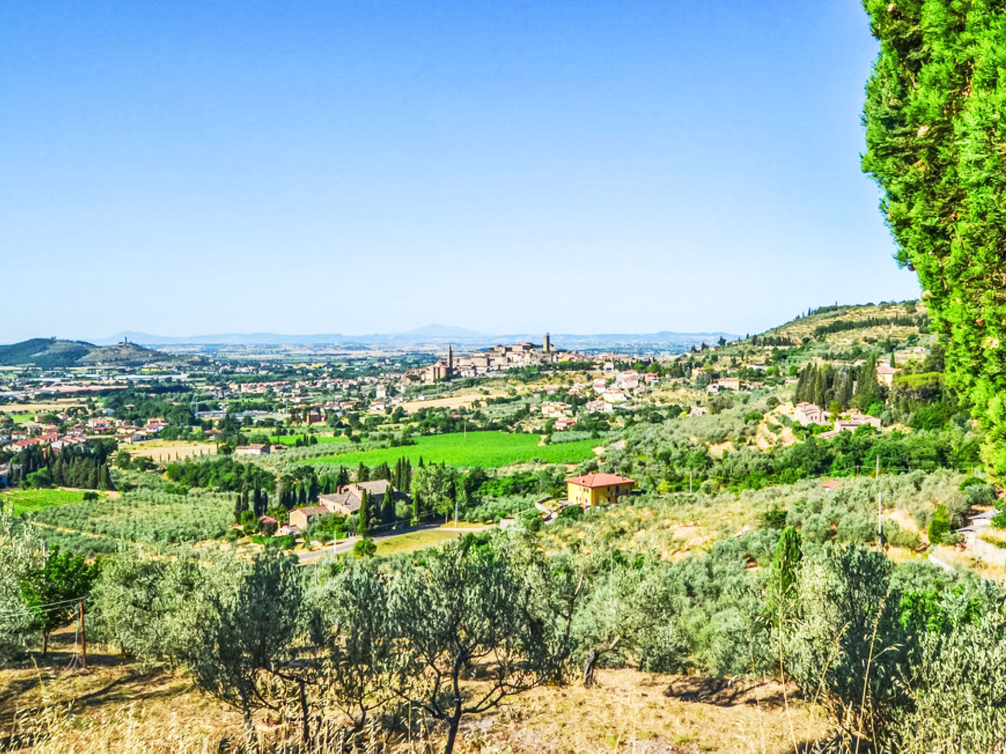 "Podere degli Ulivi" - Draußen