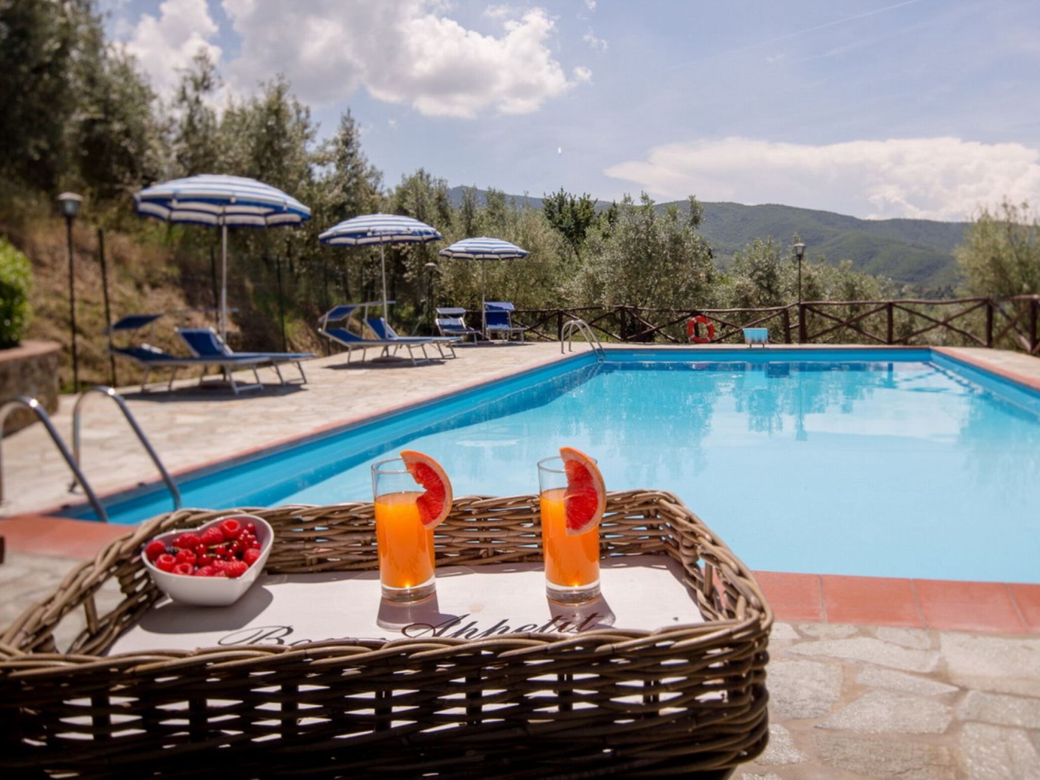 Vakantiehuis met omheinde tuin in Castiglion Fiorentino (Italië) 1 hond is welkom