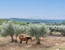 Vacation home Badia a Passignano