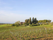 Apartment Campiglia