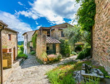 Il Cinghiale
