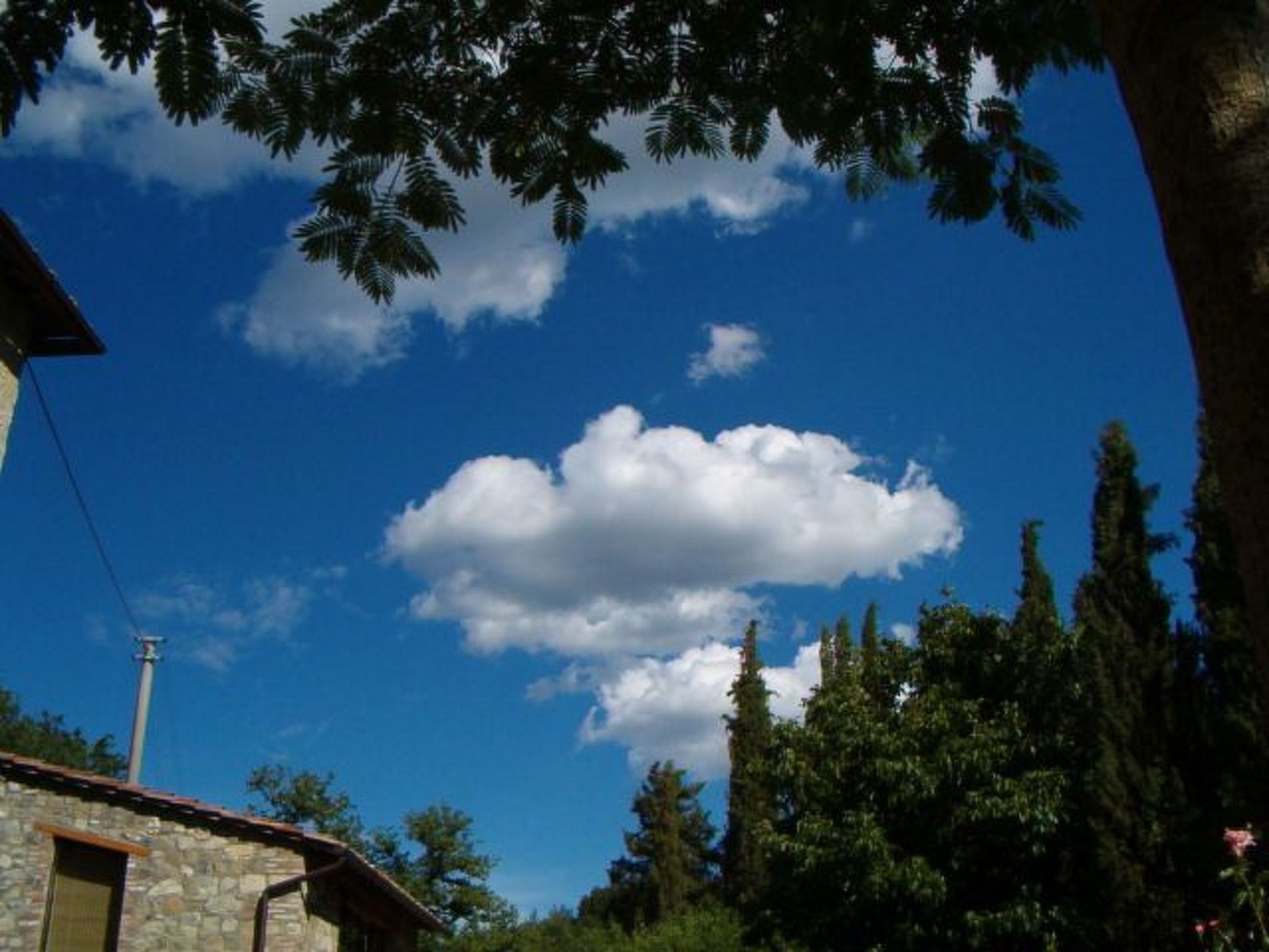 La Loggia - Dehors