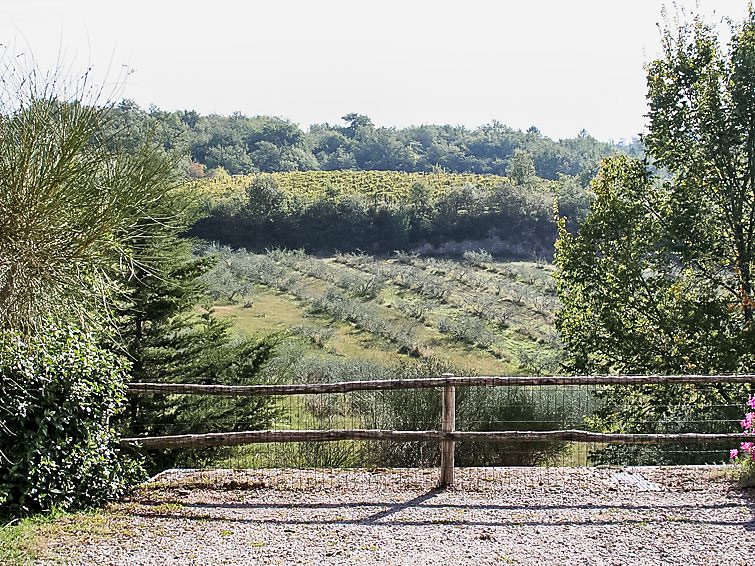 APARTAMENTO COCCINELLA N°6