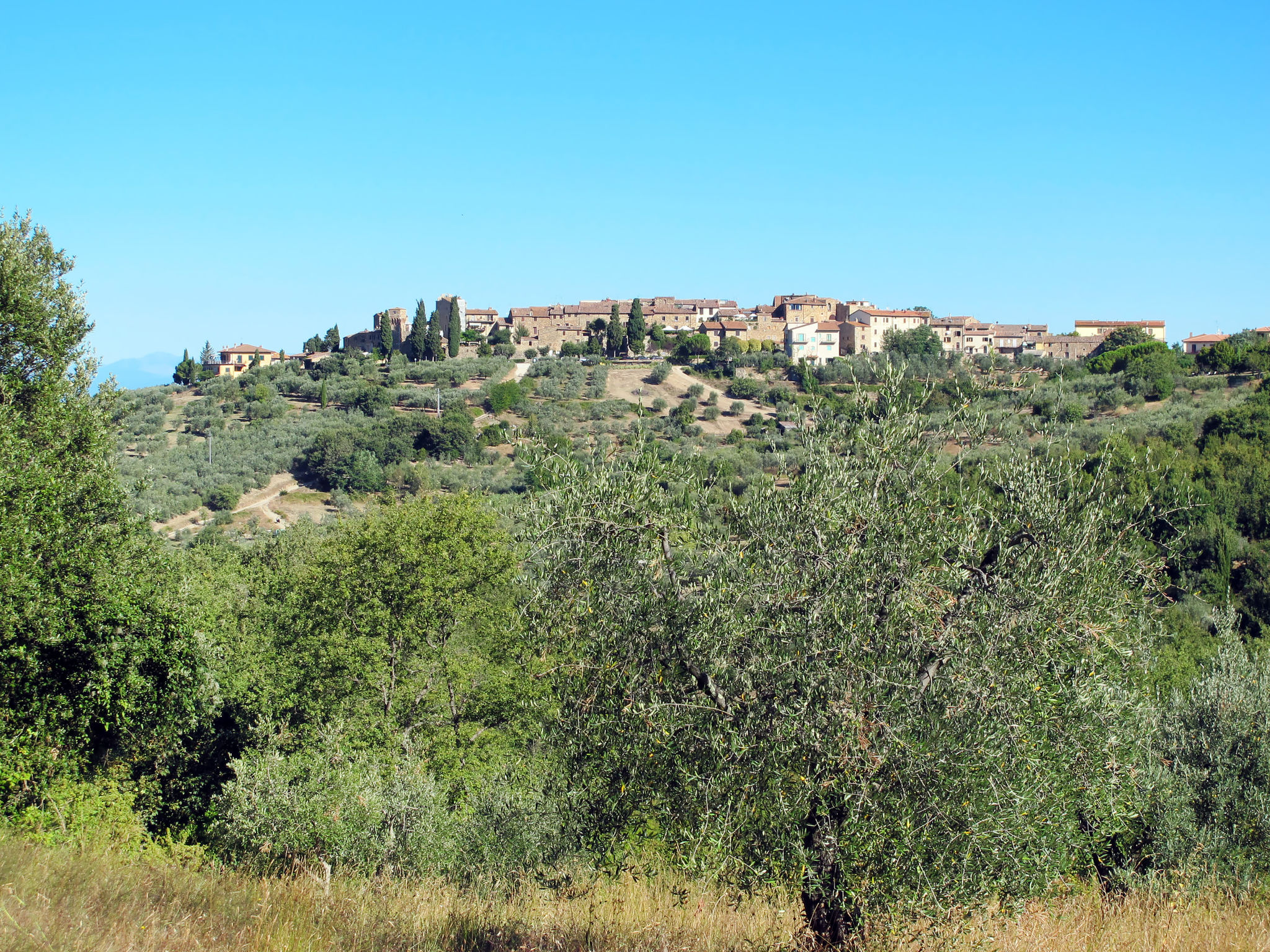Albachiara-Environnement