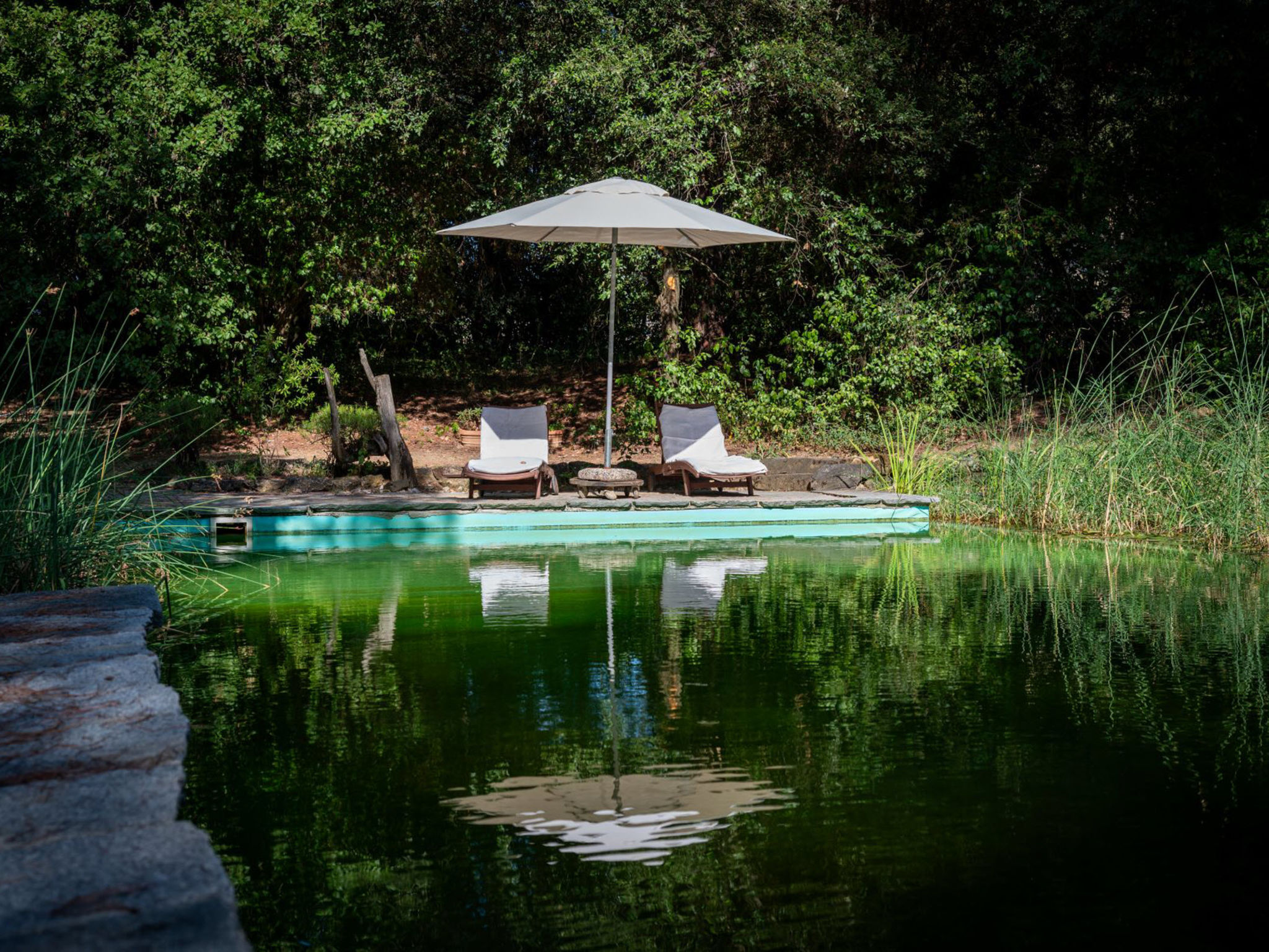 Il Poggio — Pool Outdoor (5 of 24)