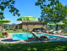 A spasso tra gli ulivi