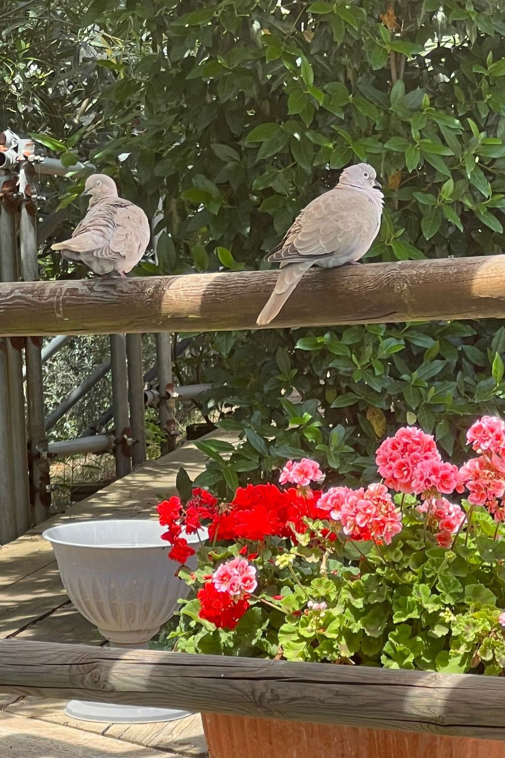 Ein-Zimmer-Wohnung in einem Bauernhaus-Binnen