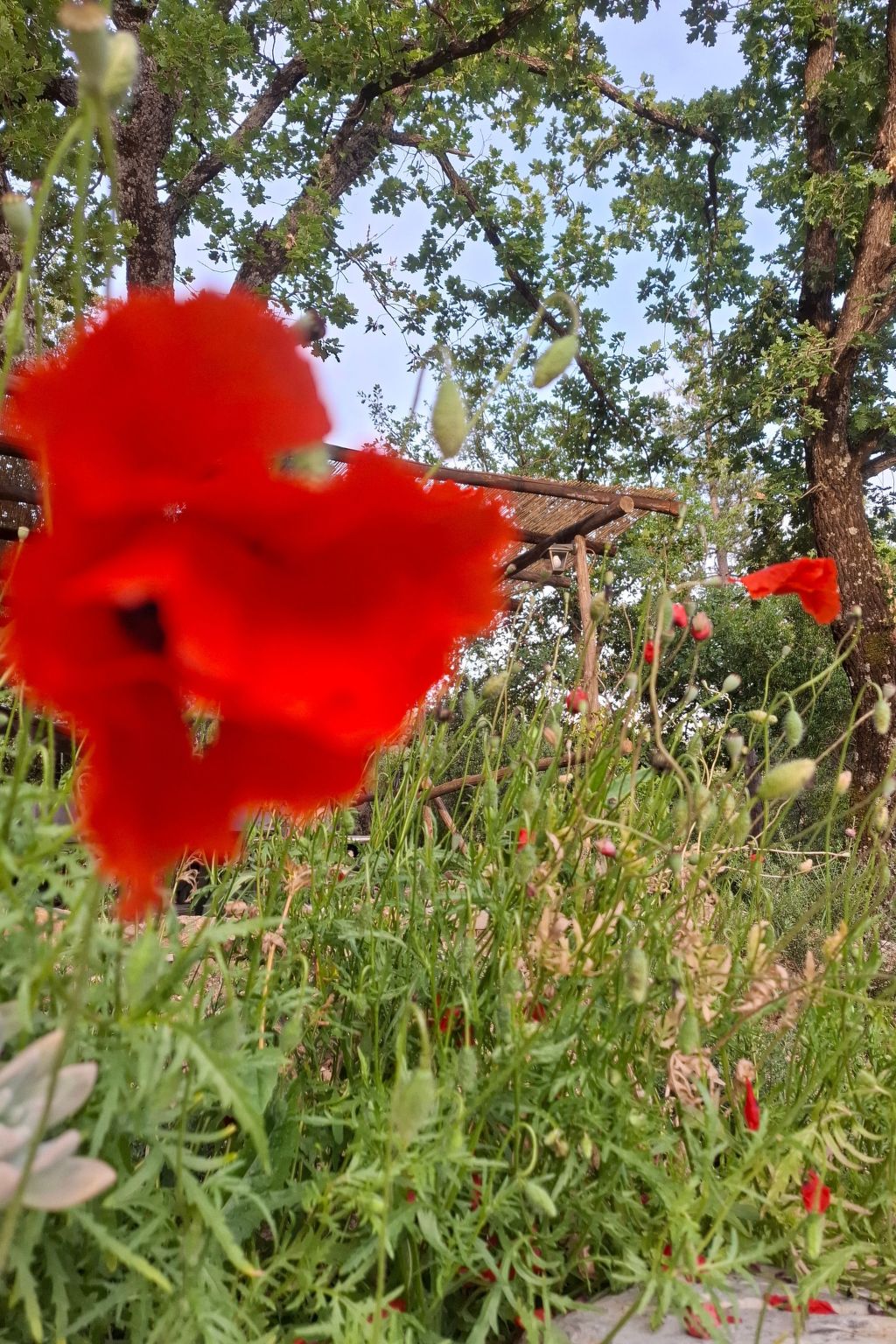 Ein-Zimmer-Wohnung in einem Bauernhaus-Binnen