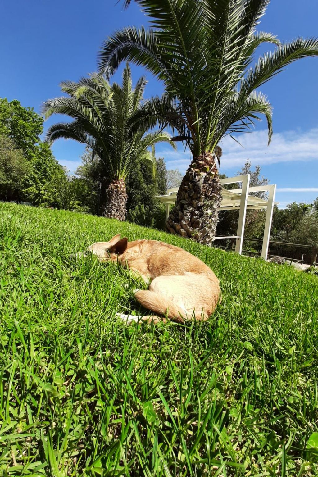 Bauernhauswohnung mit großer Terrasse-Binnen