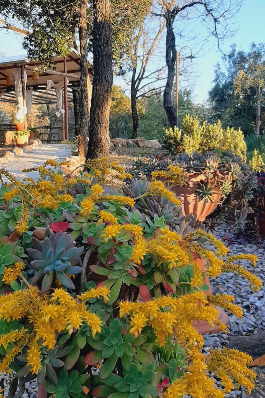 Drei-Zimmer-Wohnung im Bauernhaus-Binnen