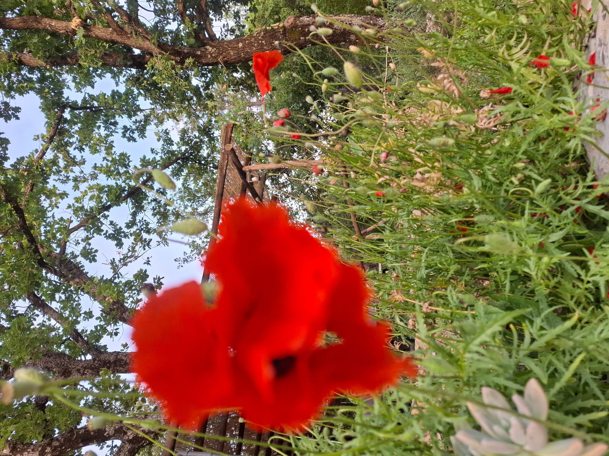 Drei-Zimmer-Wohnung im Bauernhaus-Binnen