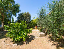 Casa di vacanze Oliveta 1