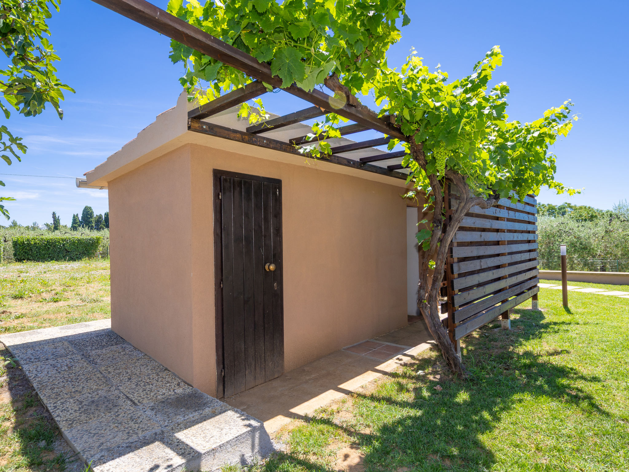 Rose Adriano Home - Buiten