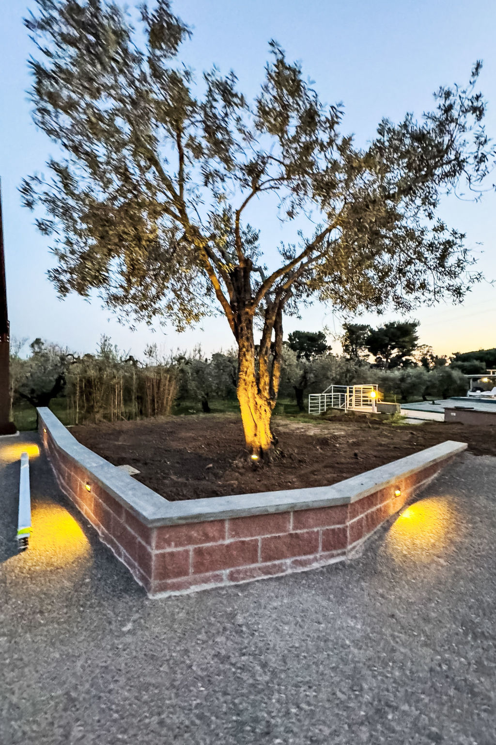 Rose Adriano Home - Buiten