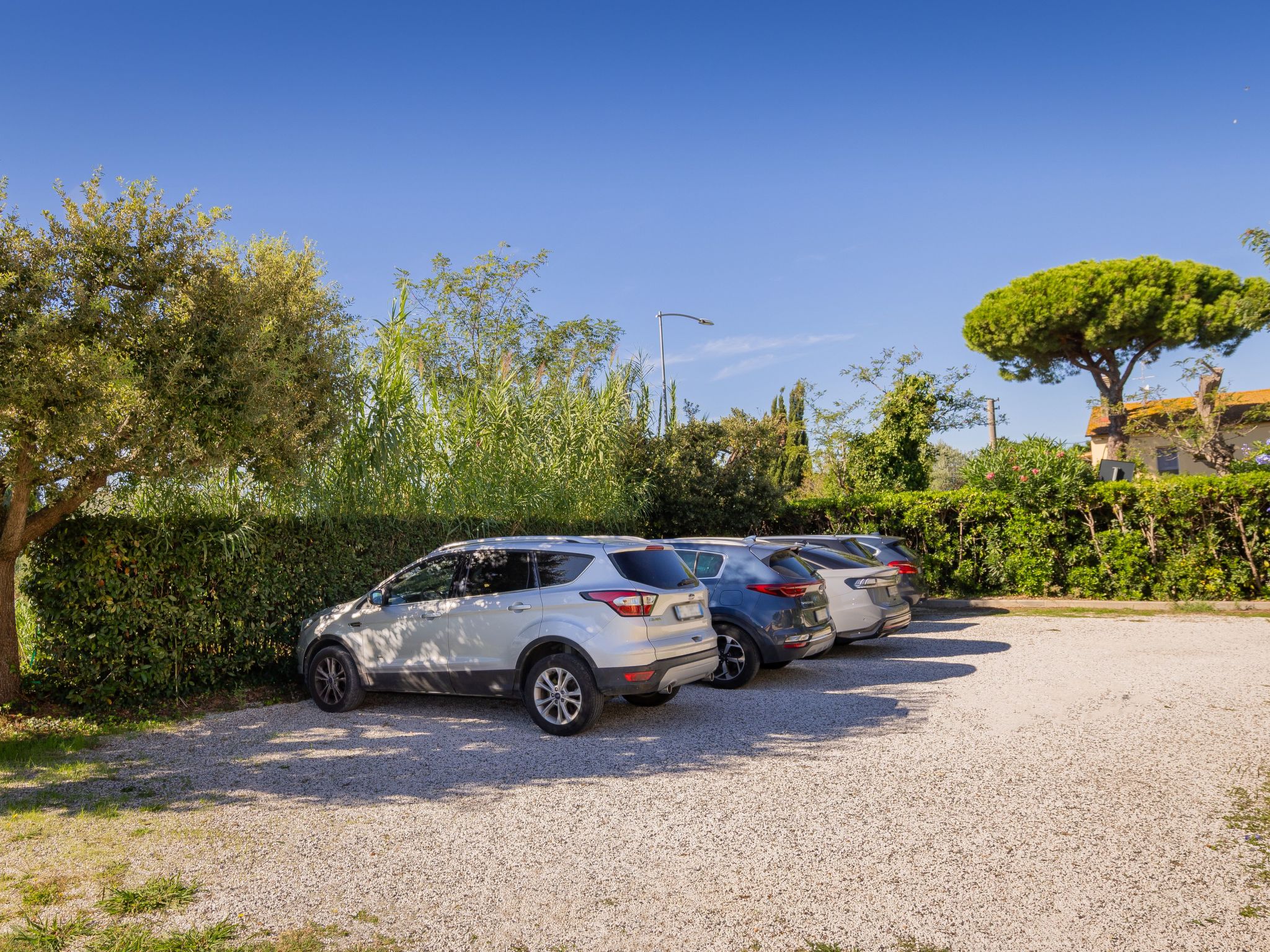 Casa Milla - Drei-Zimmer-Wohnung Fasan - Image-tags.info