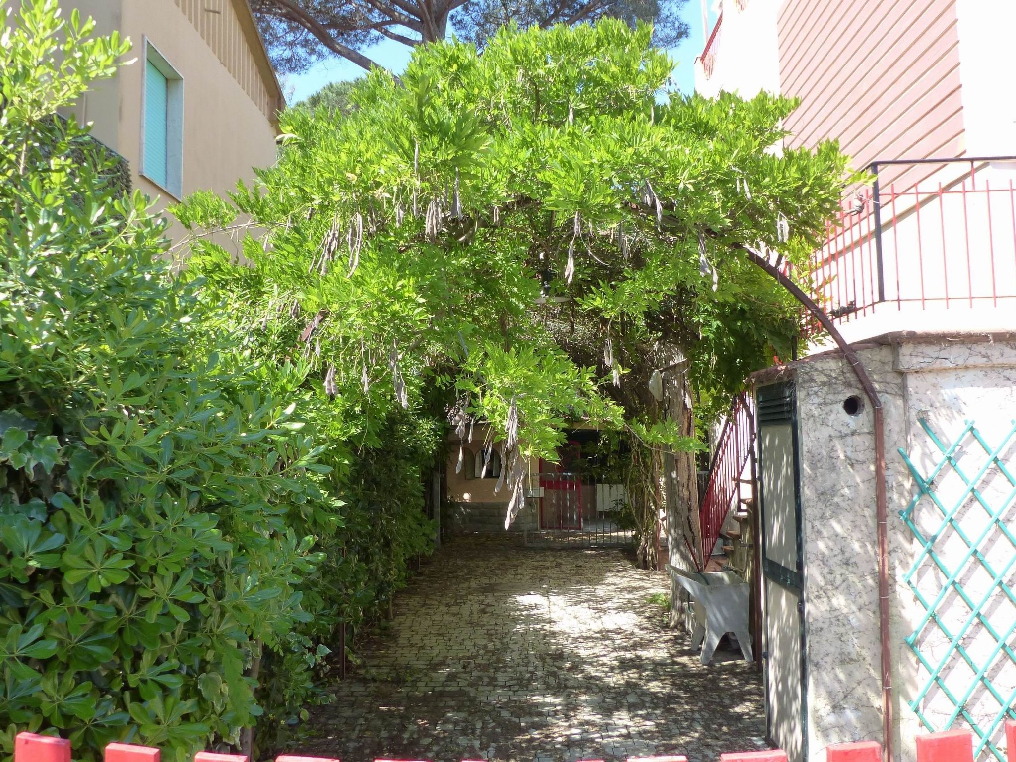 Große Wohnung in Mazzanta mit Schöner Terrasse-Image-tags.info