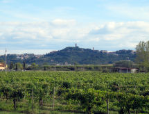 Ferienhaus Casa Girasole (SMN101)