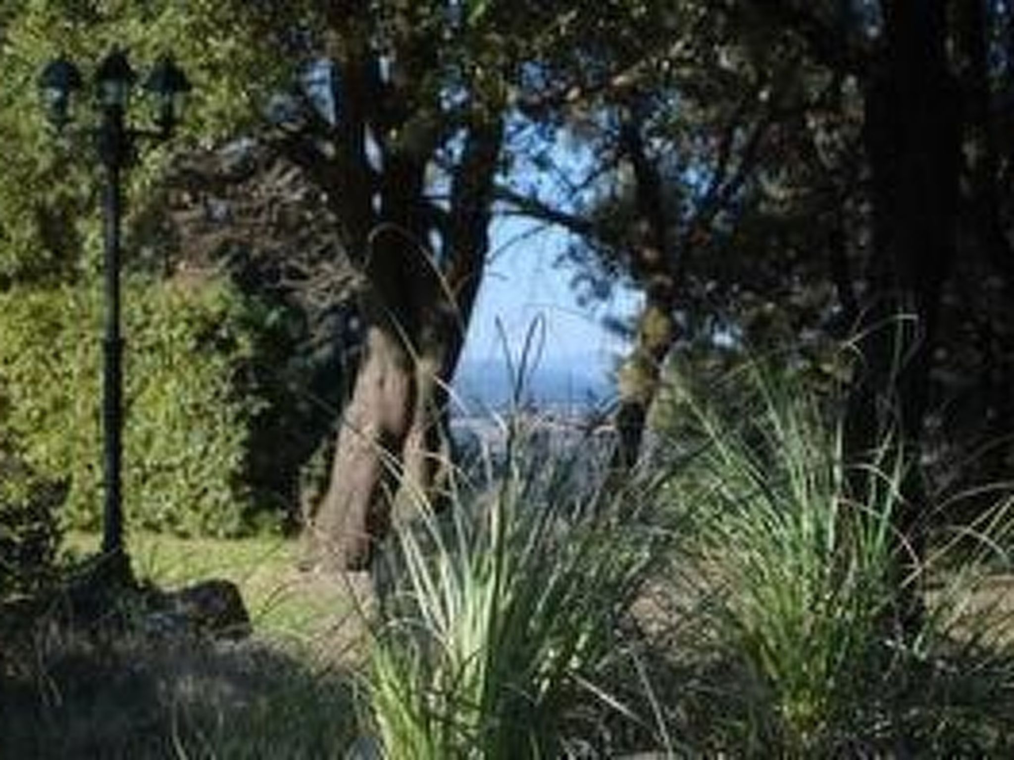 Agriturismo San Ansanino-Image-tags.info