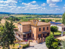 Le rondini