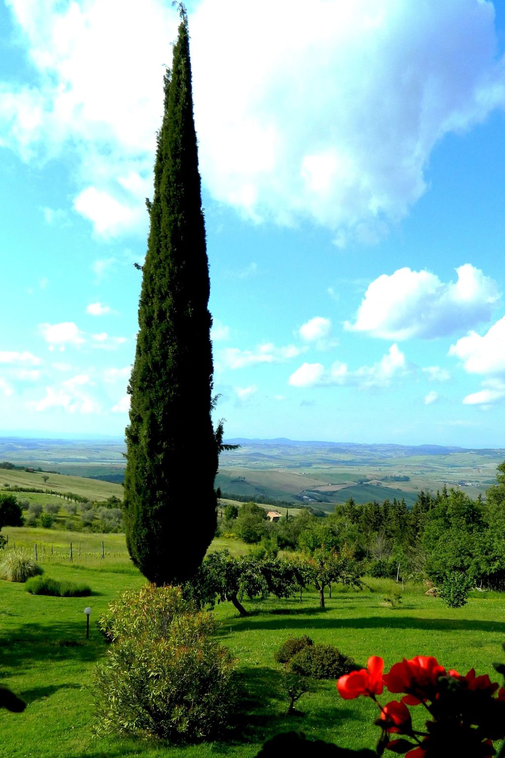 Haus Claudia mit schönem Garten-Binnen