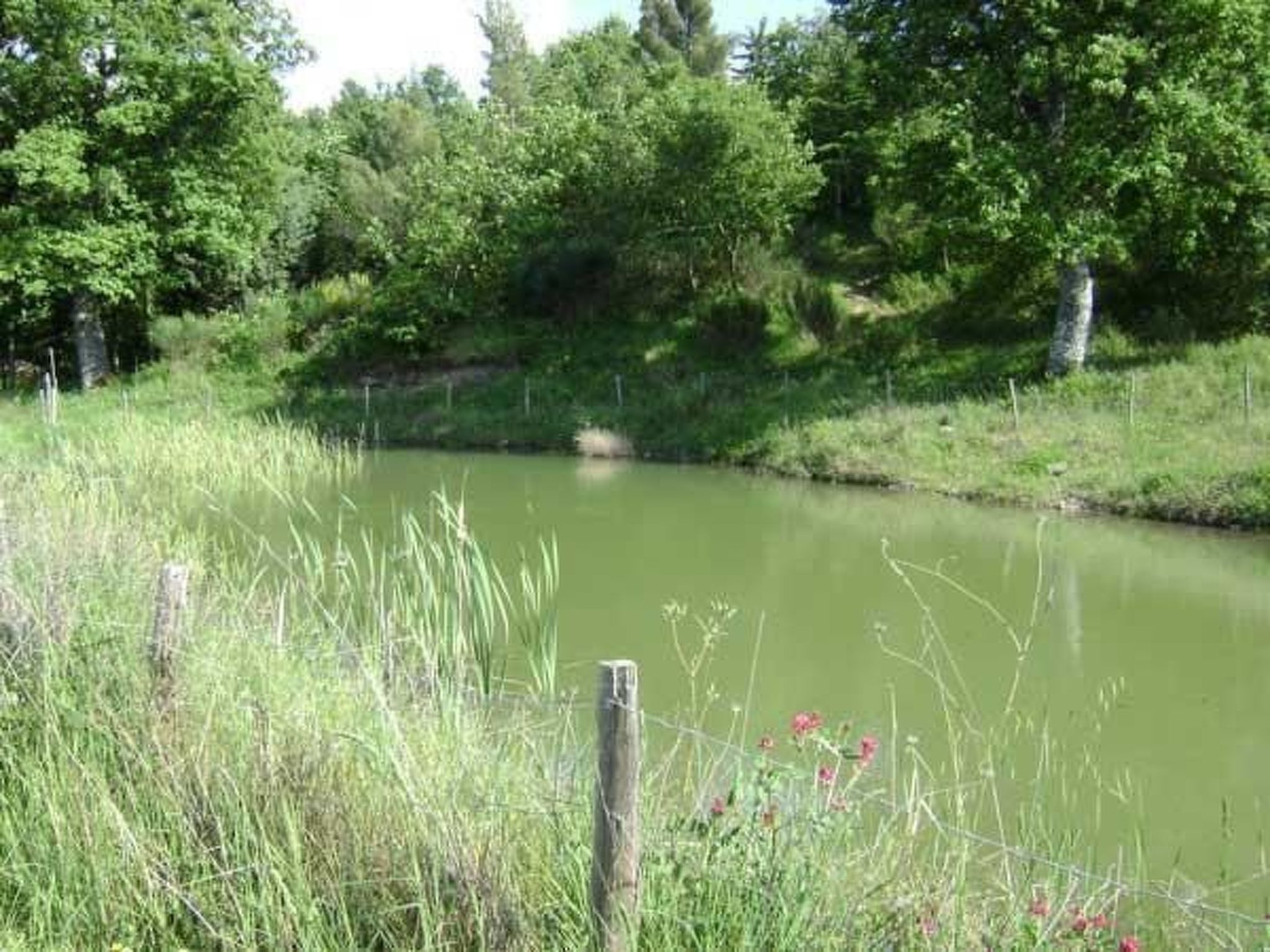 Casa Letizia mit toller Aussicht-Binnen