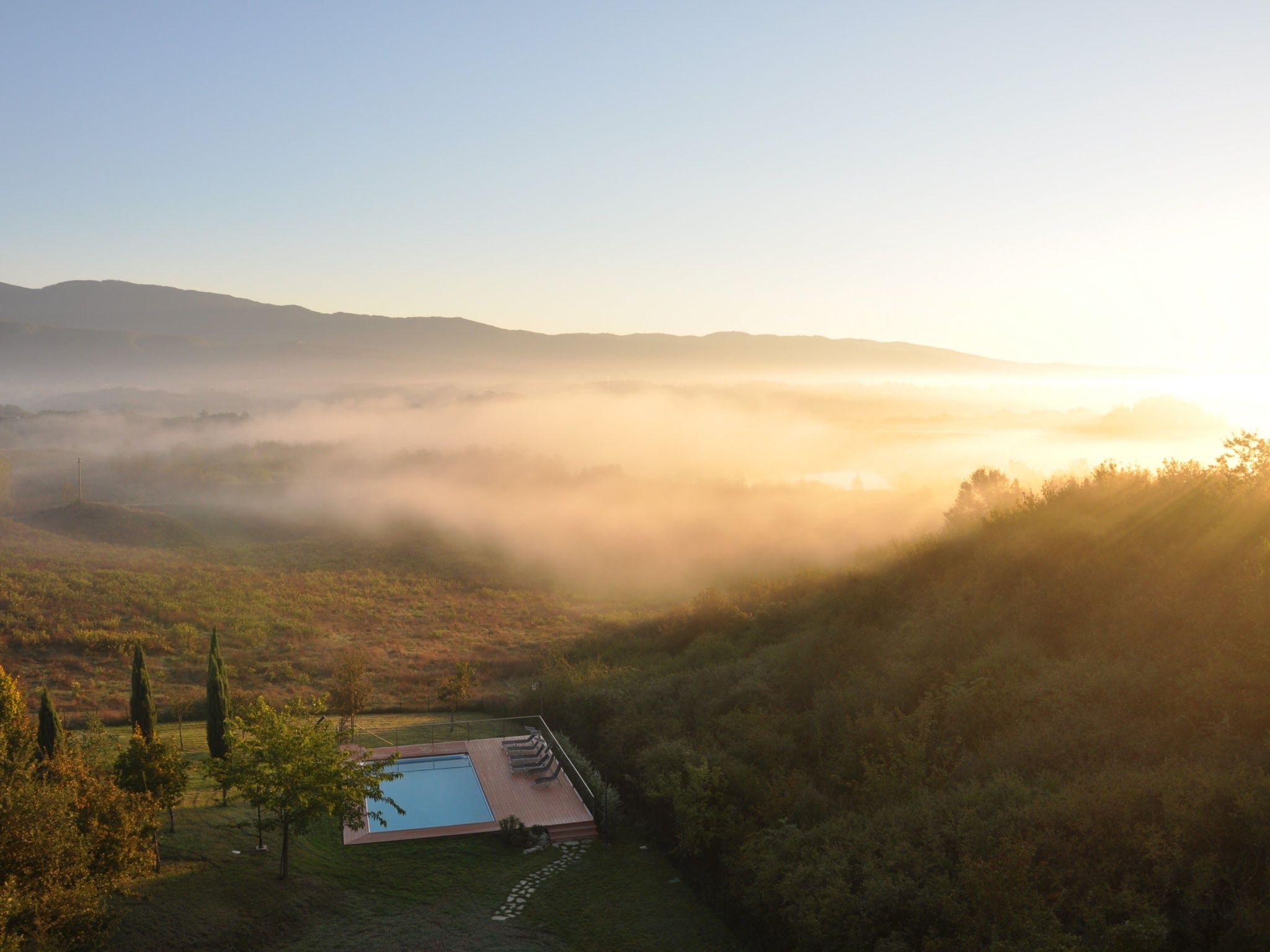 Sonnenblume Wohnung-Binnen
