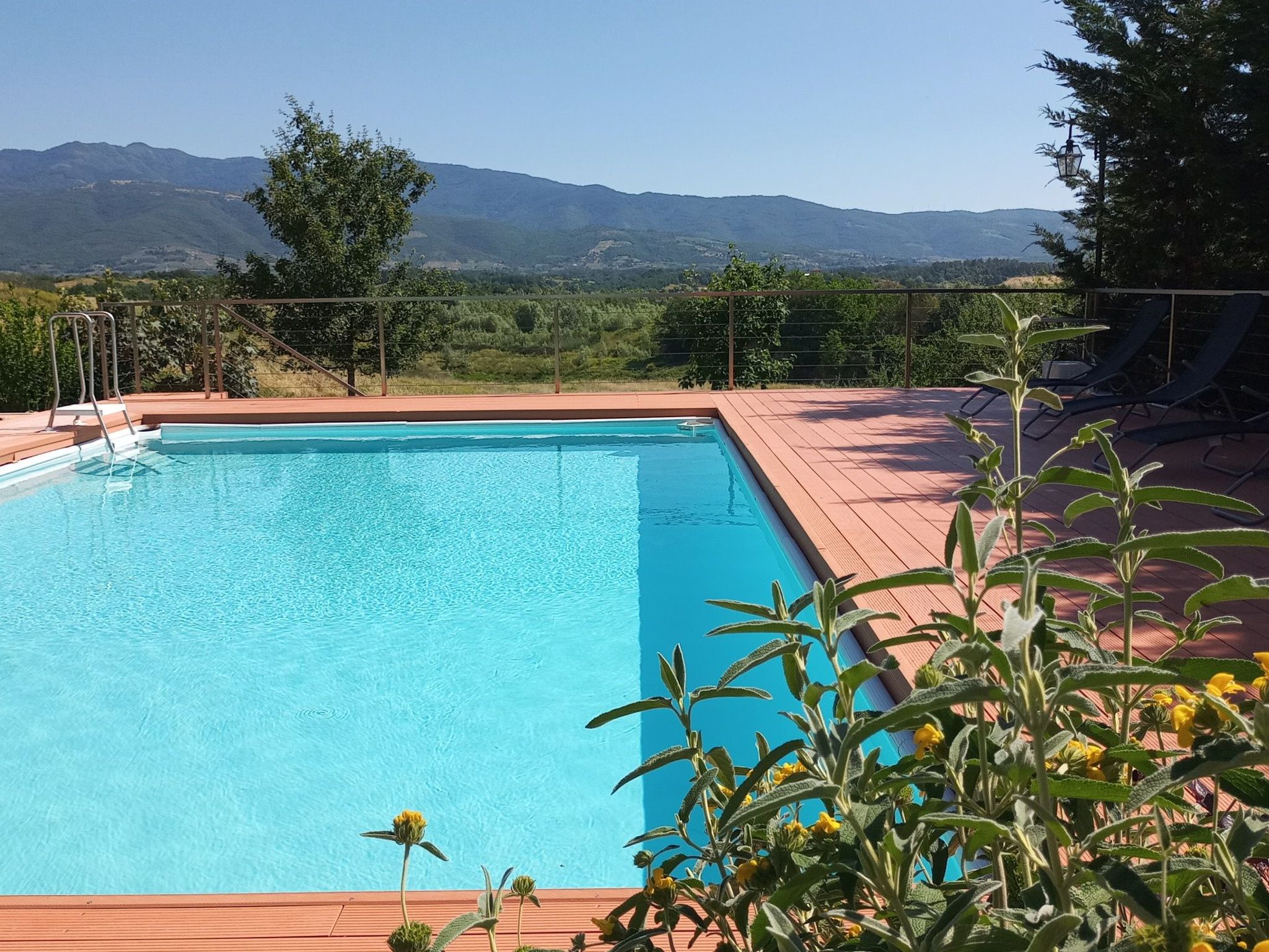 Sonnenblume Wohnung-Binnen