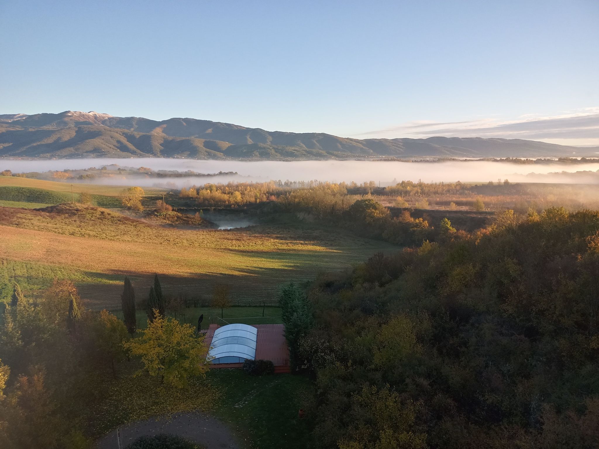 Sonnenblume Wohnung-Binnen