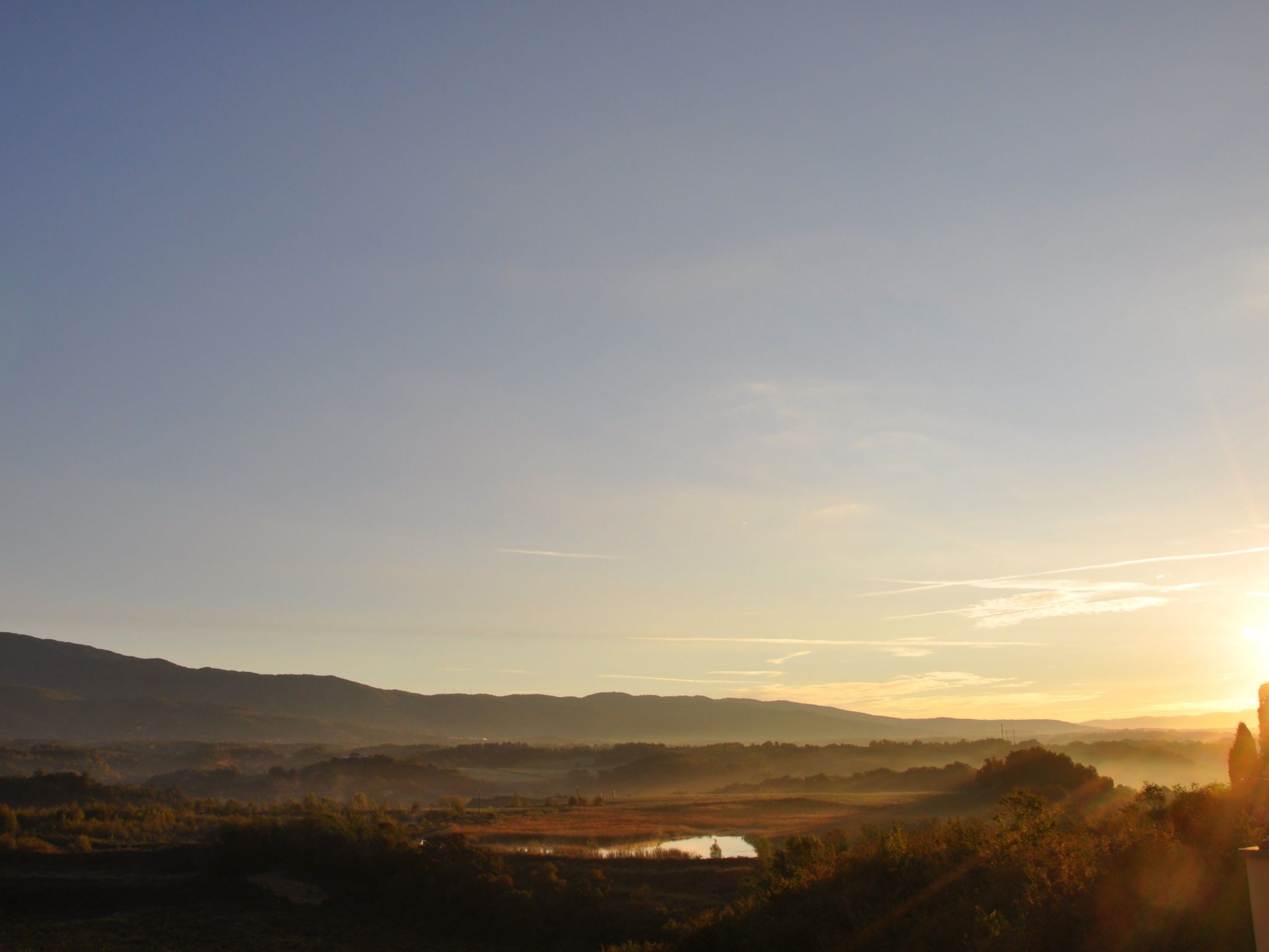 Sonnenblume Wohnung-Binnen