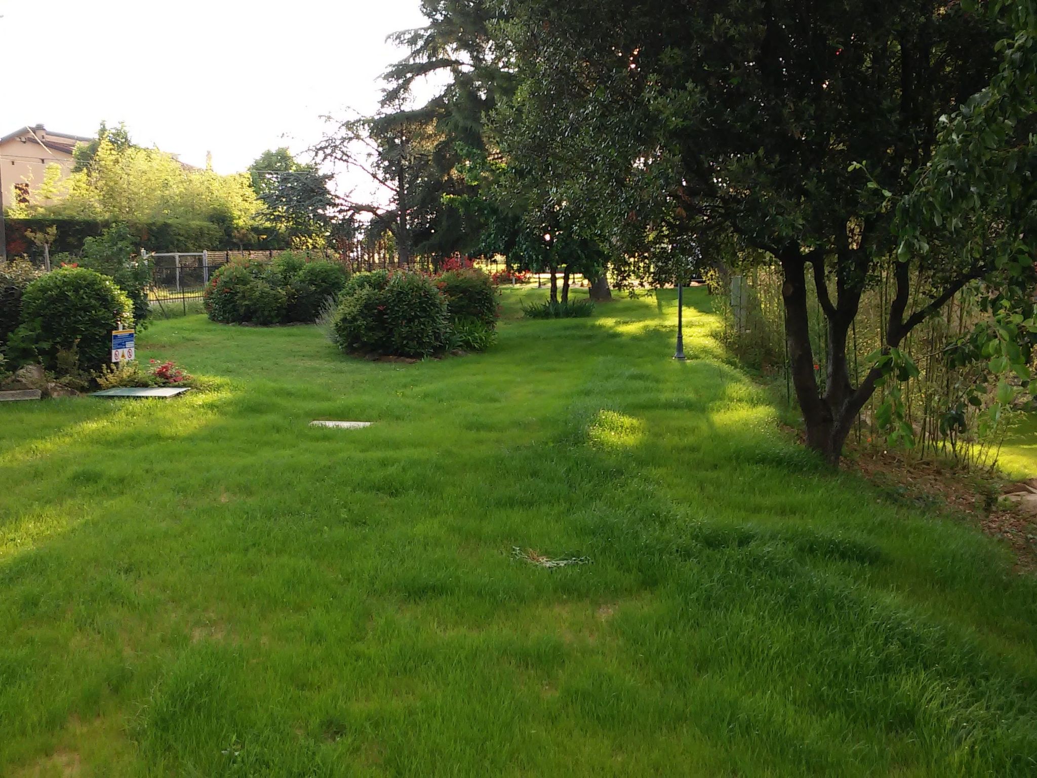 Sonnenblume Wohnung-Binnen