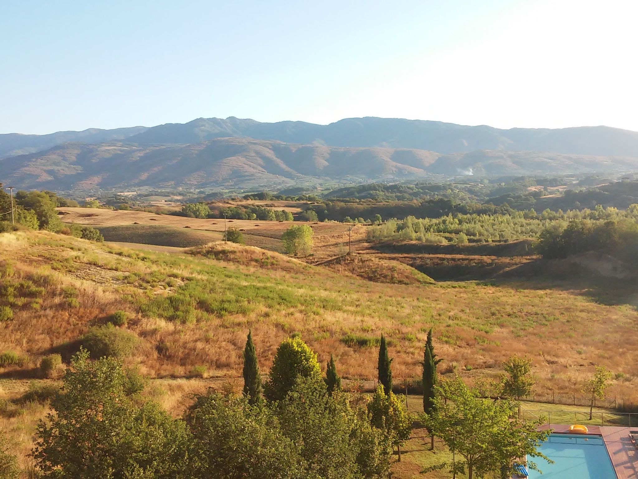 Sonnenblume Wohnung-Binnen