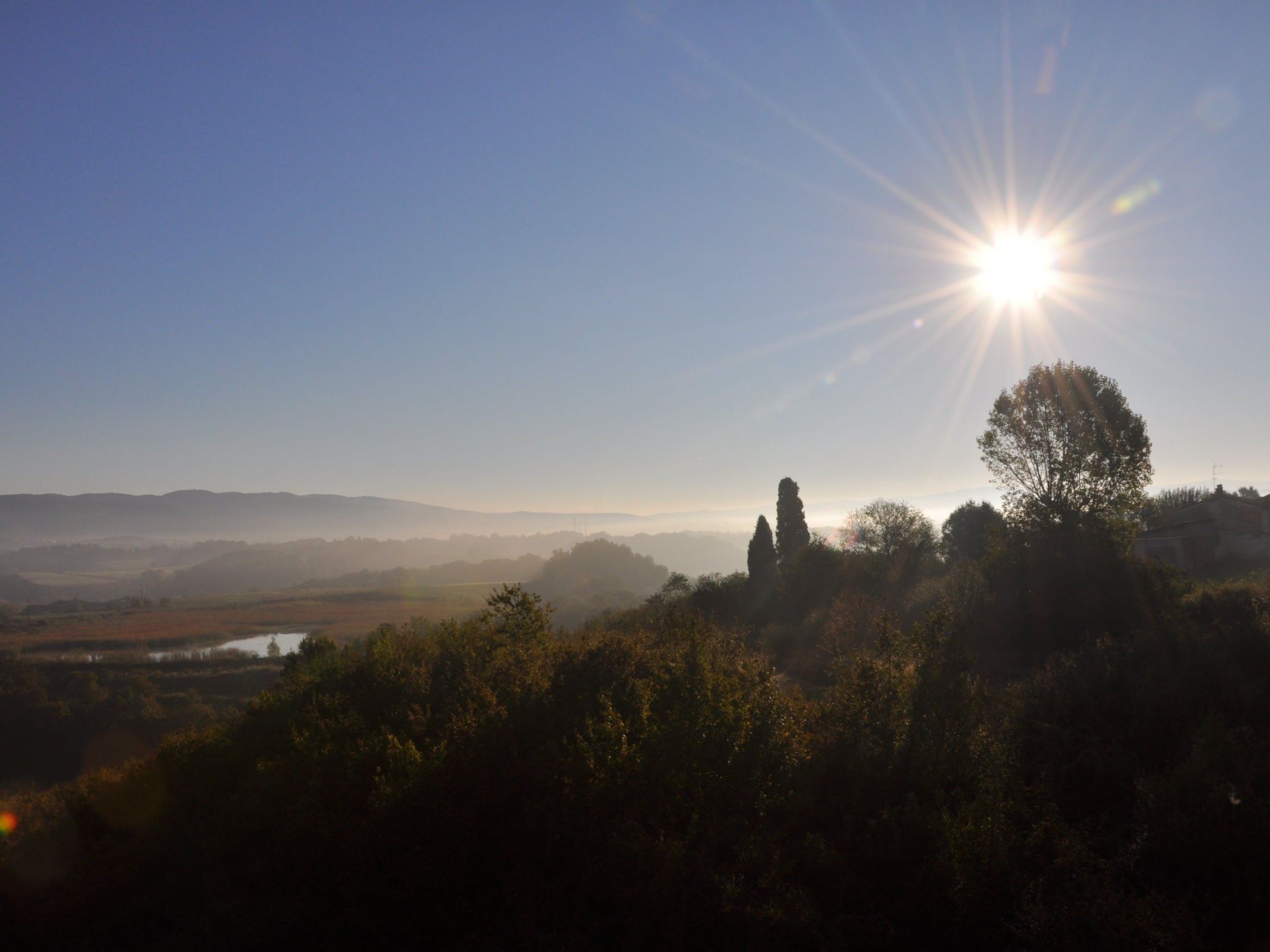 Sonnenblume Wohnung-Binnen