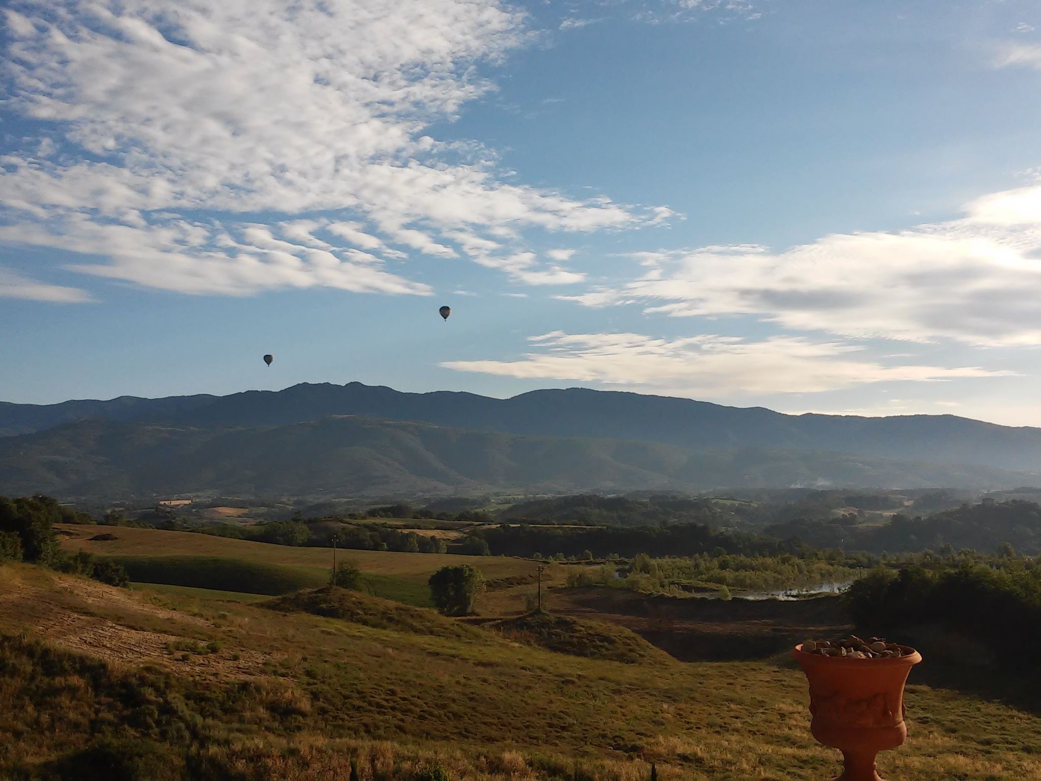 Sonnenblume Wohnung-Binnen