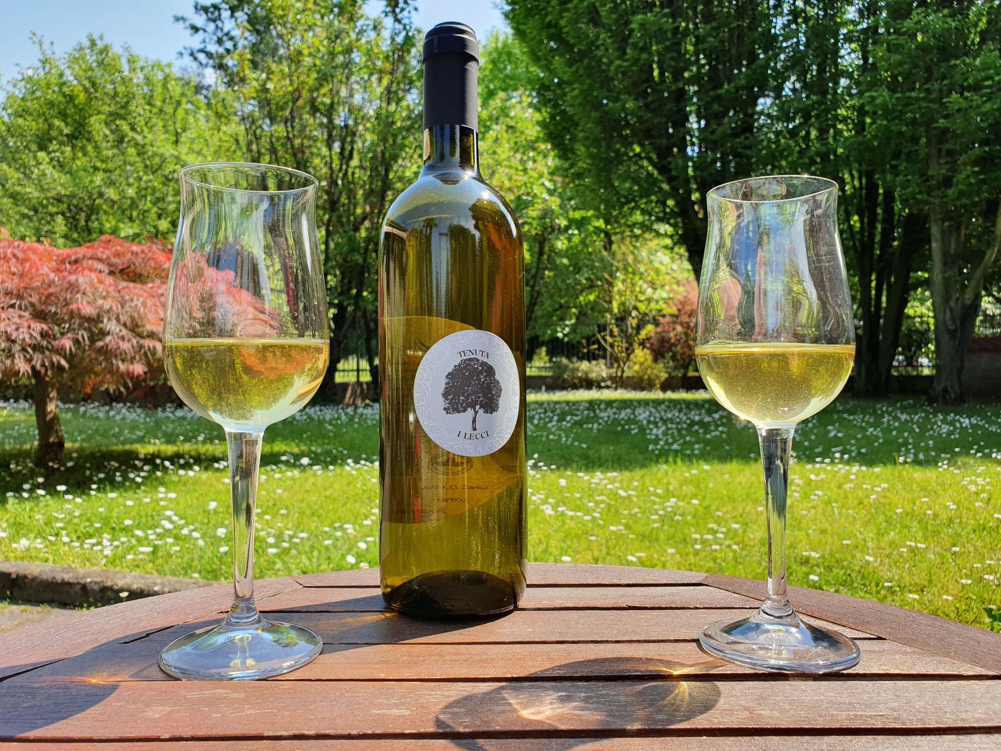 Sonnenblume Wohnung-Binnen